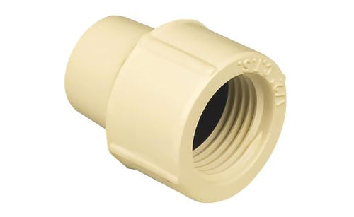 Charlotte Pipe CTS CPVC Female Adapter (1/2 Ivory)