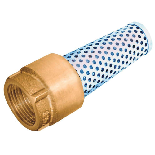 Simmons 1 In. 200 psi Bronze Foot Valve, Lead Free