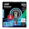 Feit Electric 15W (100W Replacement) Daylight (5000K) A19 E26 Base Dimmable Clear LED Bulb