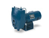 Pentair Sta-Rite HL Series Cast Iron Convertible Jet Pumps 3/4 HP